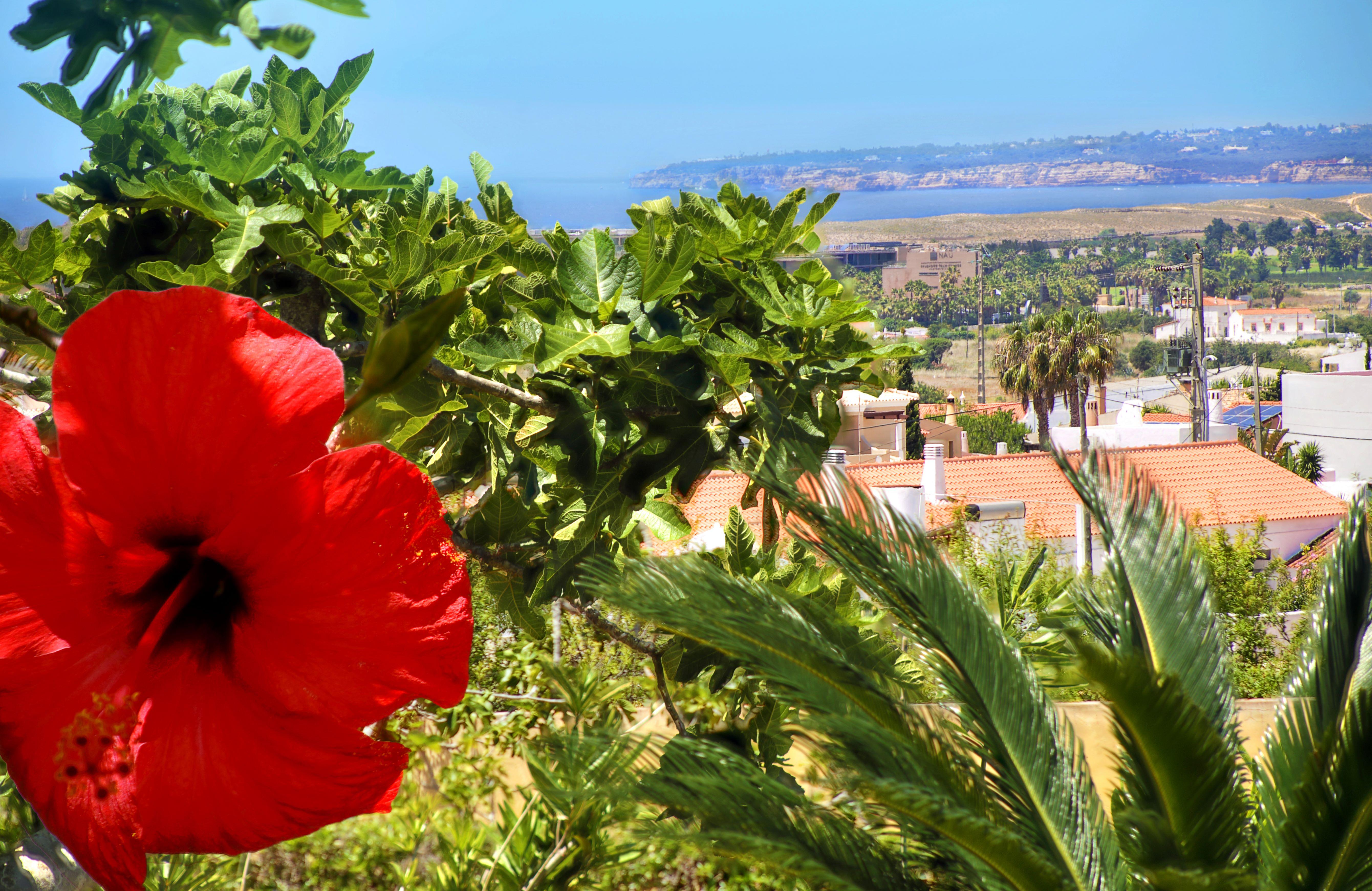 Parque Monte Verde Albufeira Exterior photo